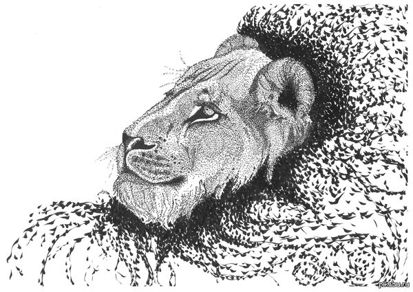 Future King. - My, Blackwork, Dotwork, My, Drawing, a lion, Interesting, Art