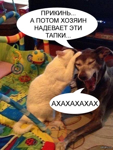 �� ������� ;)
