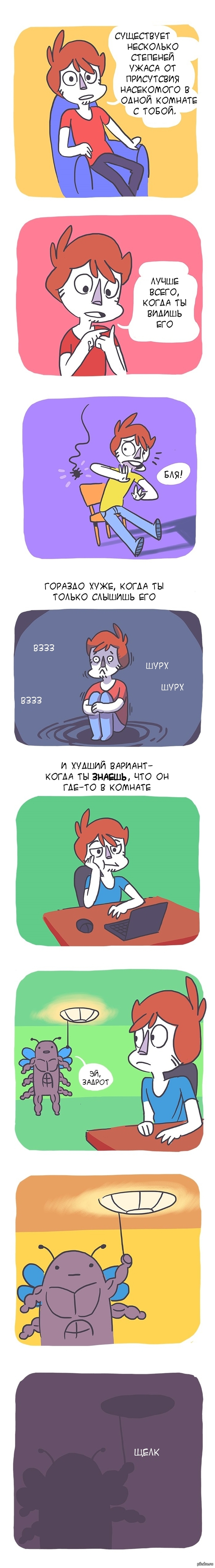 ���� �� ���������