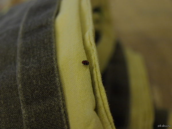 ����� ������ ����...�����������!  ��� ���?  �� ����� �� �����.  ������ �� ����, ���� ����������. �� ������ ������� ��������� ���������)