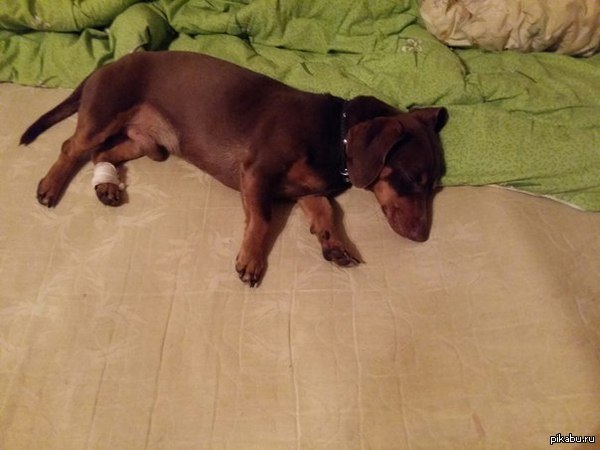 ������ �������! ������� ��������� ������ �� ������!