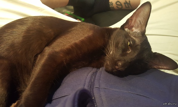 ��� ��� �� � ������� �� ���� ���� =)