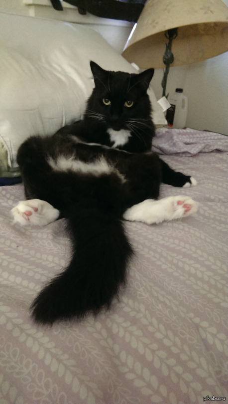 What? 