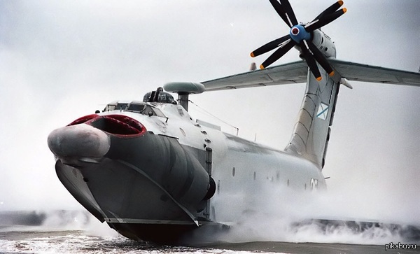 3  1979.    105- -  \&quot;\&quot;.