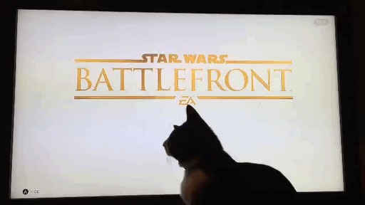  TIE Fighter 