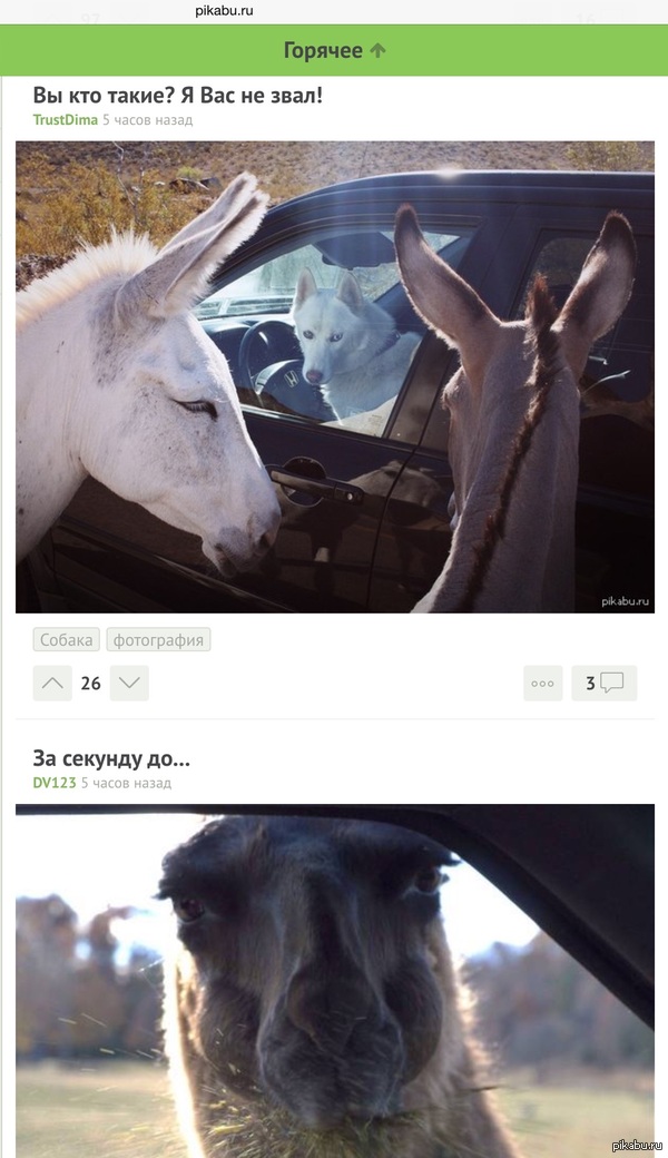 Совпадения пост.