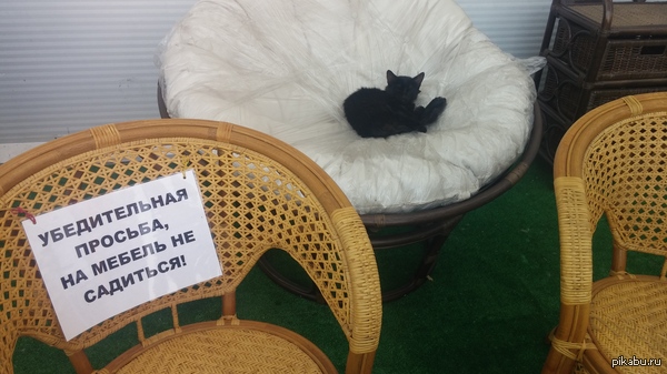 Маленький бунтарь