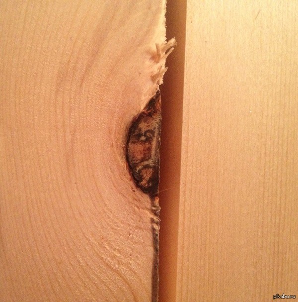 ��������� �����!