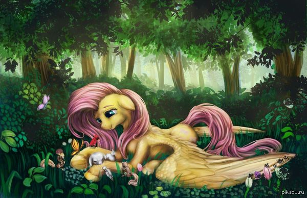 Forest... ...and Fluttershy.