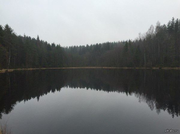 Природа родного края