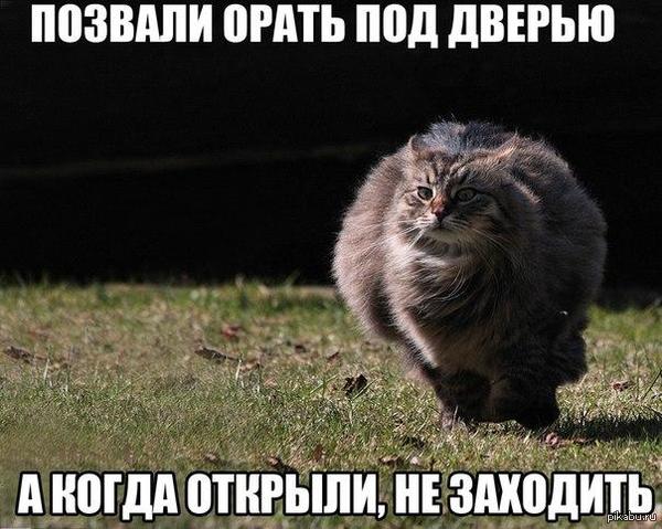 ������ ��������