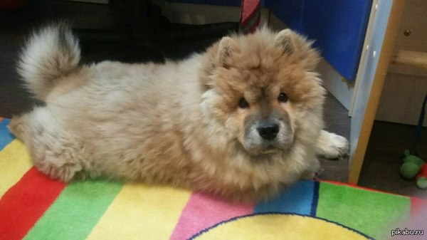 ������������ �����