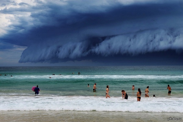 ������. �������