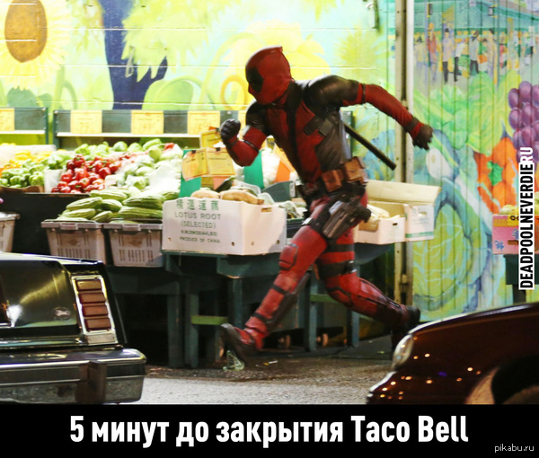 ...и пусть весь мир подождет