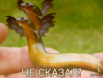 Когда на тебя и твоего брата наезжают