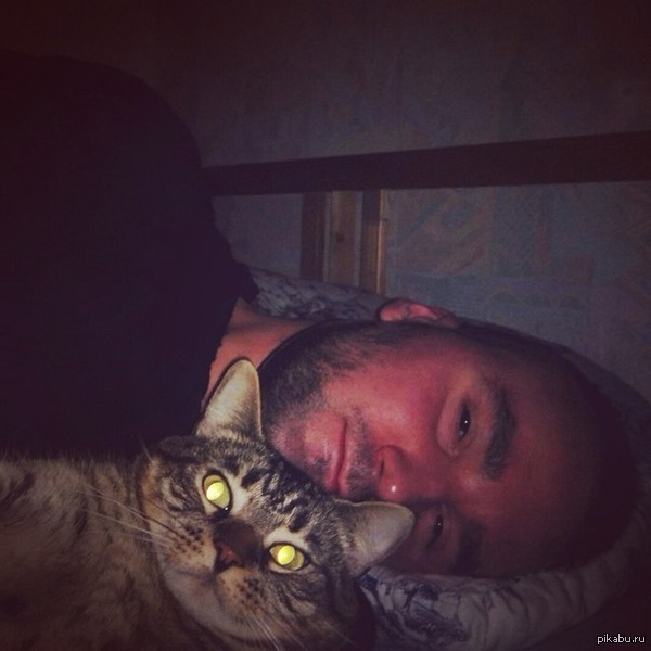 Я проснулся, когда мой кот делал сэлфи