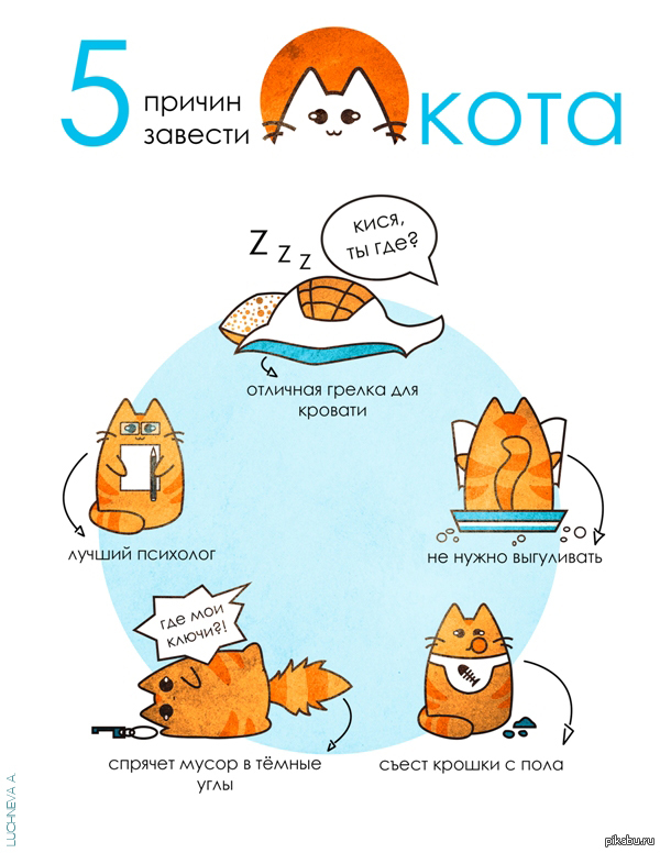 Карта кровати по версии кота картинки