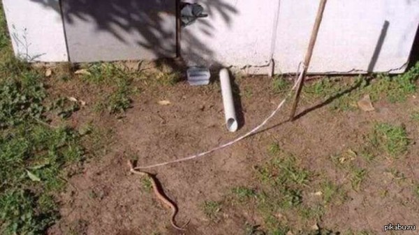 Да я хз чо писать