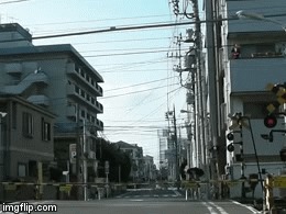       ) 