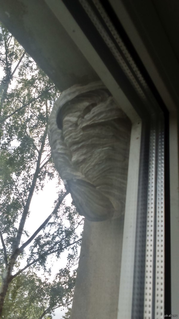 � �� ������ ���� ��� ��, ��� ��� ����� �*���� ���?