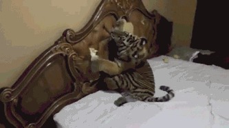 И не возразишь ведь!