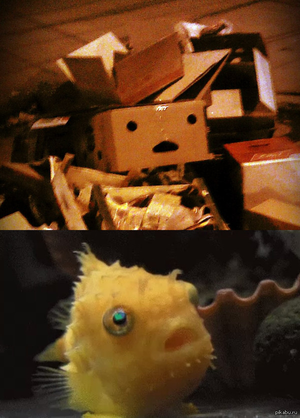 Hey, John... You're a box..