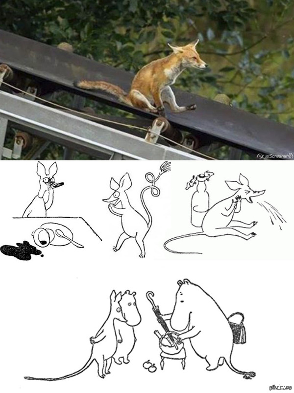 Снифф существует!!!