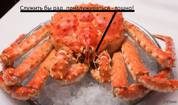 КамЧацкий краб