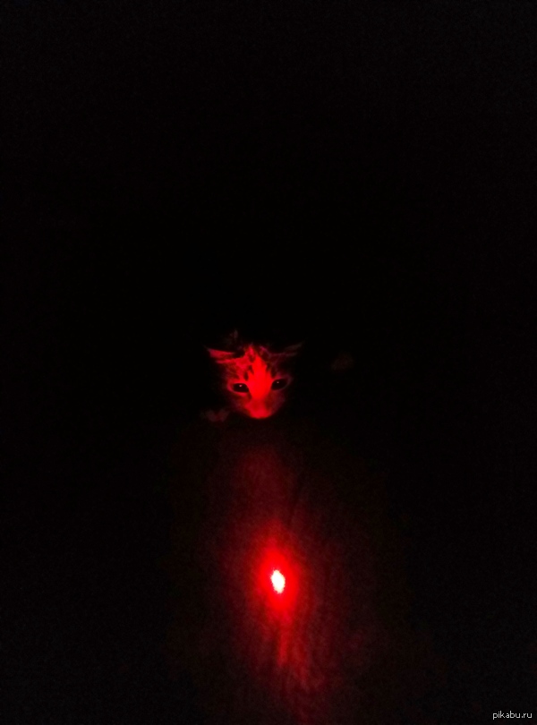 Перед прыжком