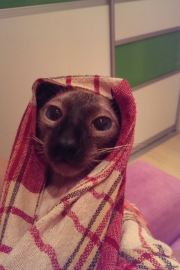 ����� ��������� II