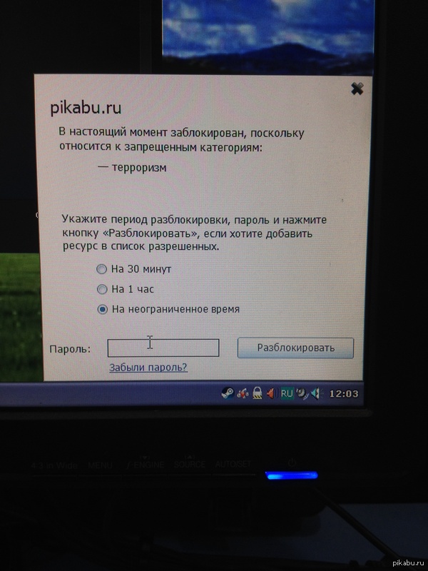 NetPolice  Pikabu.ru  ...     ,    ...