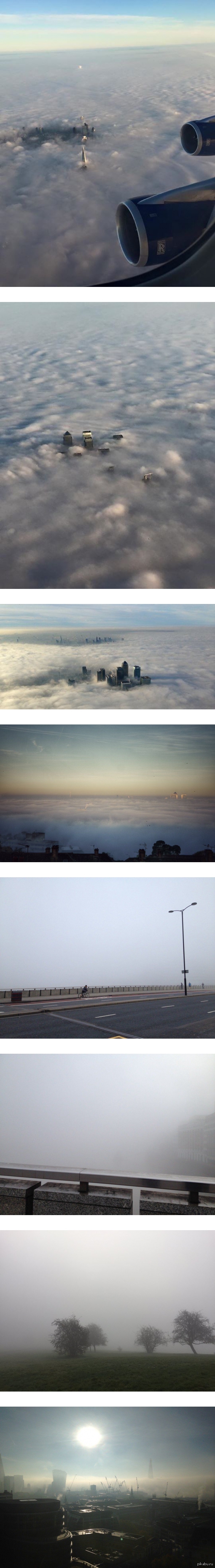 Туманный Альбион | Пикабу