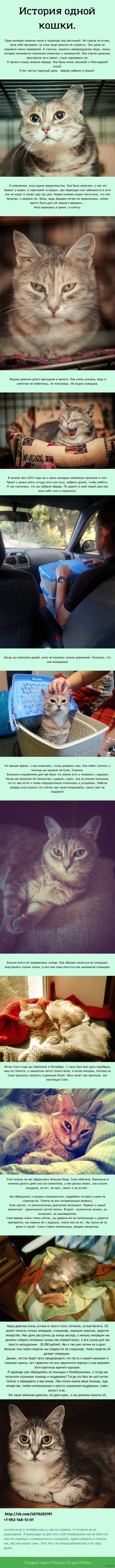 ������� ����� �����.