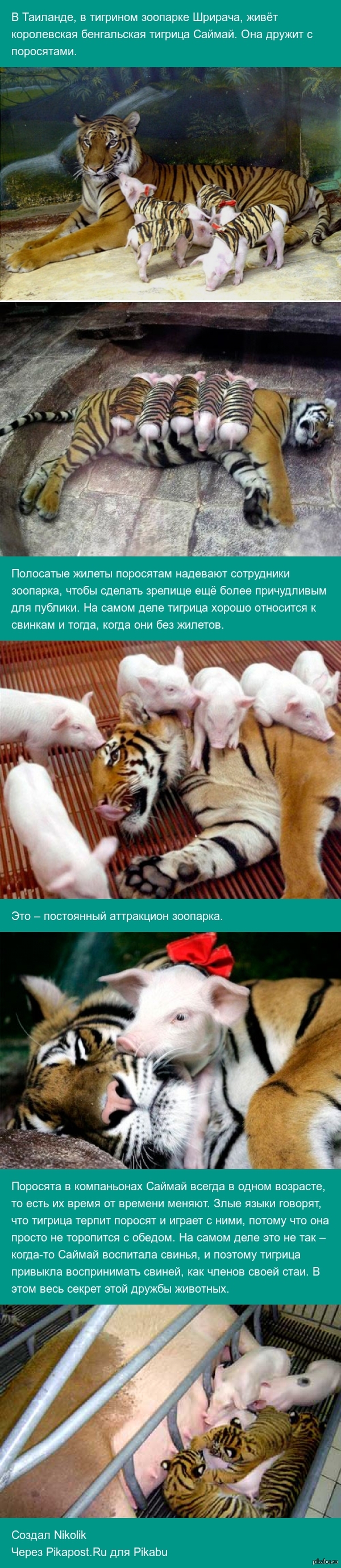 Дружба | Пикабу