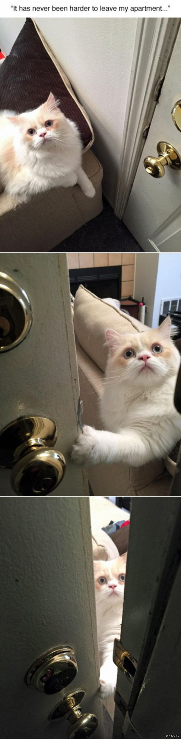 "��� ������� �� ���� ��� ������ ���� �� ����"