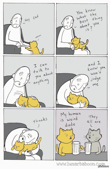 Привет, кот. Знаешь, что в тебе самое лучшее? Я могу говорить с тобой о чем угодно и ты не будешь меня судить. Спасибо.