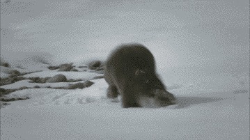    :) 