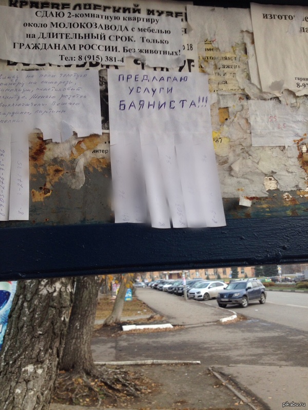 Каждый день на Пикабу