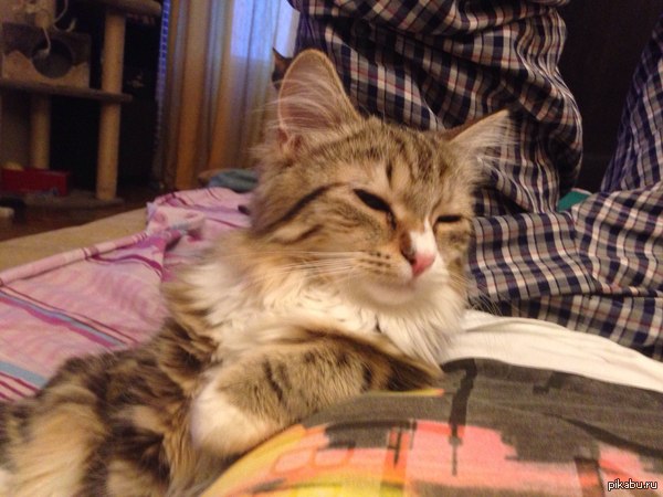 Чё, как дела?