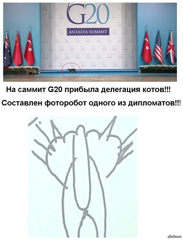   G20    -      )) 