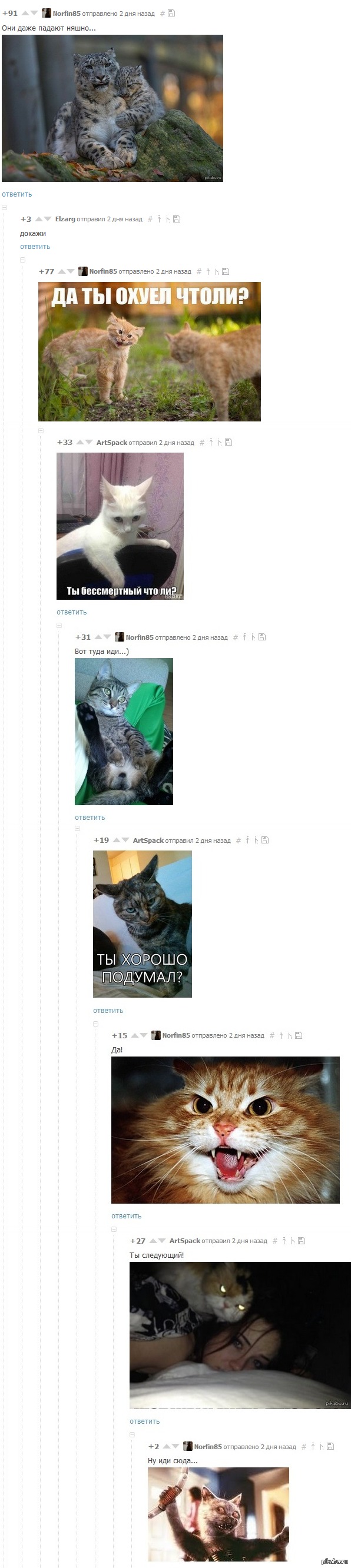 Тут, короче, у котов в комментариях разборки...