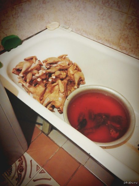 ���������� ��)