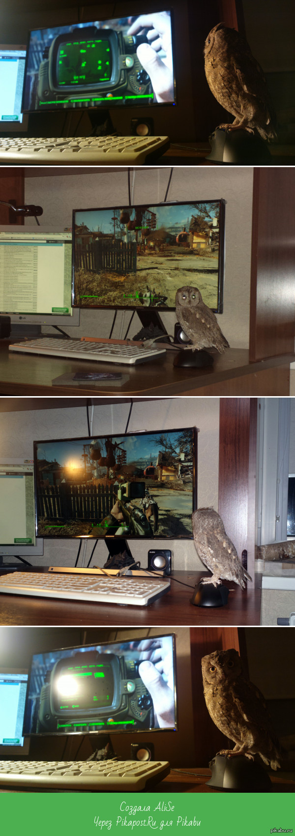      ,     Fallout