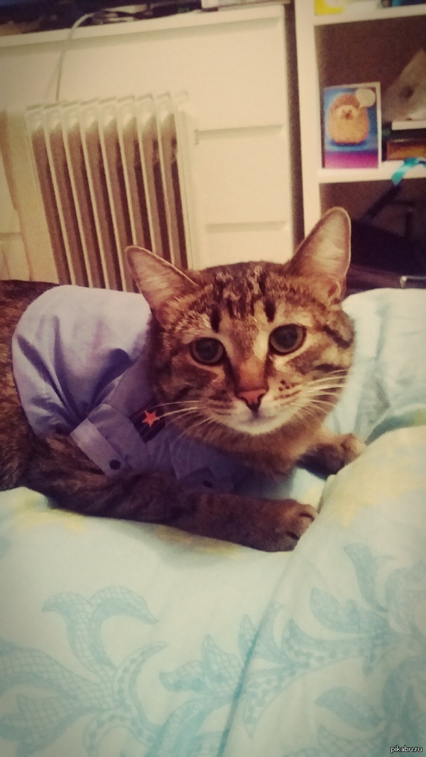 ���� �� ���������.