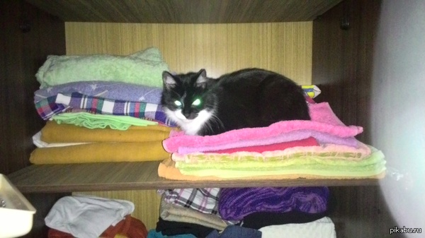 �������� ����, � ���...