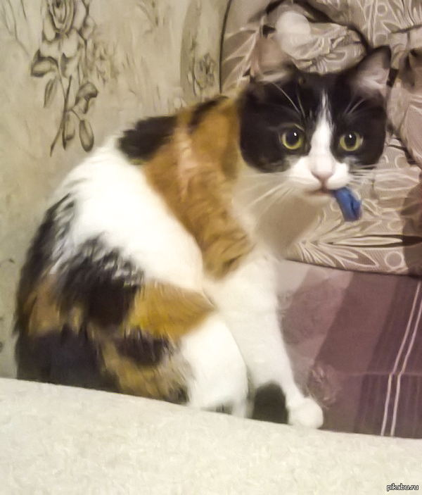 ������������