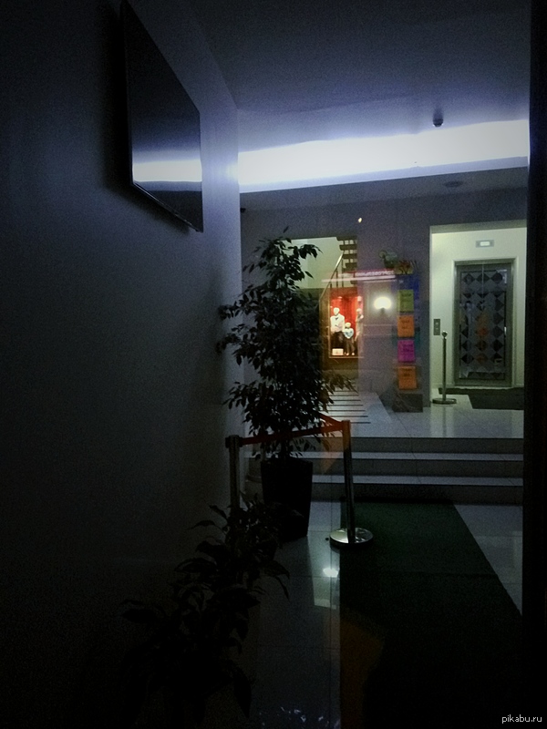 Каждый раз, выходя на ночной смене покурить на улицу, пугаюсь до полусмерти, когда захожу обратно