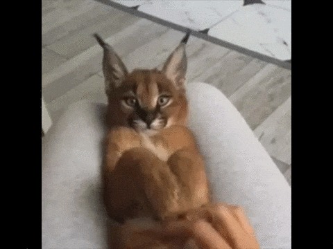 .. 