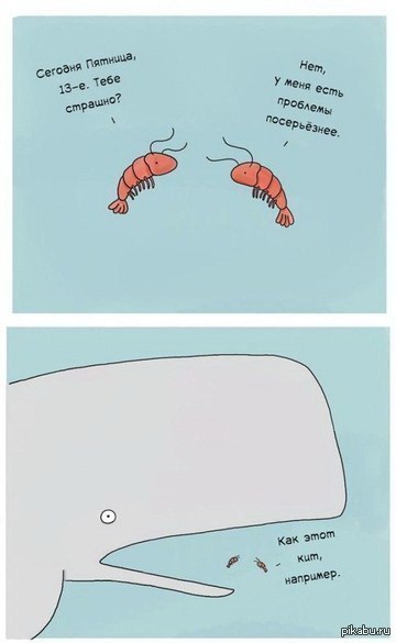 ������� 13