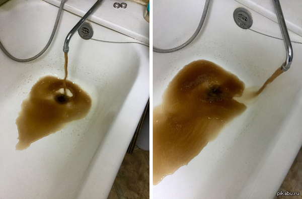 �������� � ��� ��������!